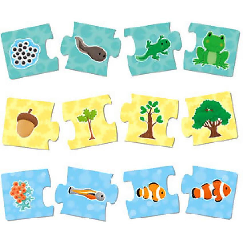 GALT - How Things Grow Jigsaw Puzzle - 6 x 4-Piece Puzzles