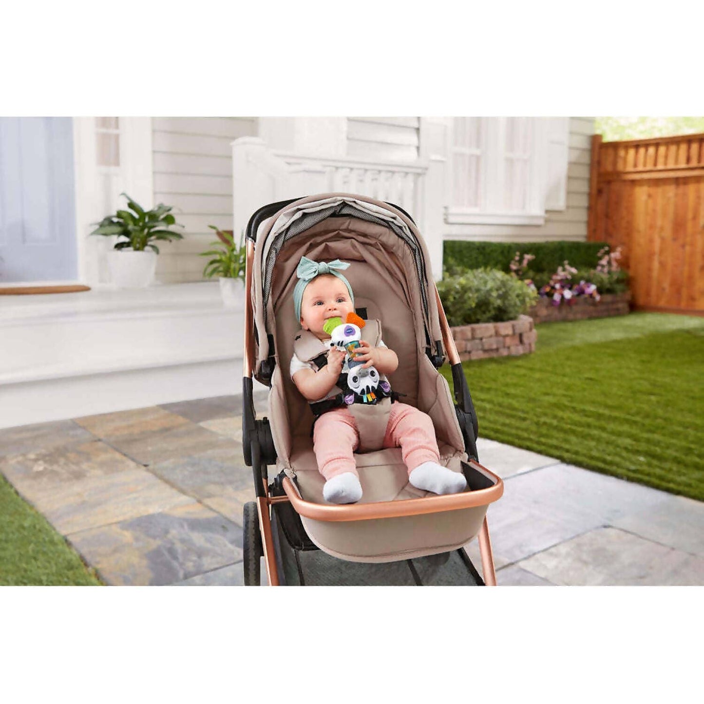 Vtech - Shaking Sounds Zebra