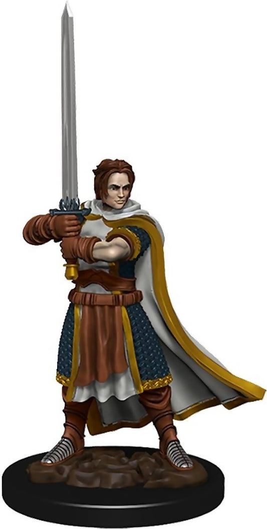 Dungeons & Dragons - Premium Human Fighter Male Miniature