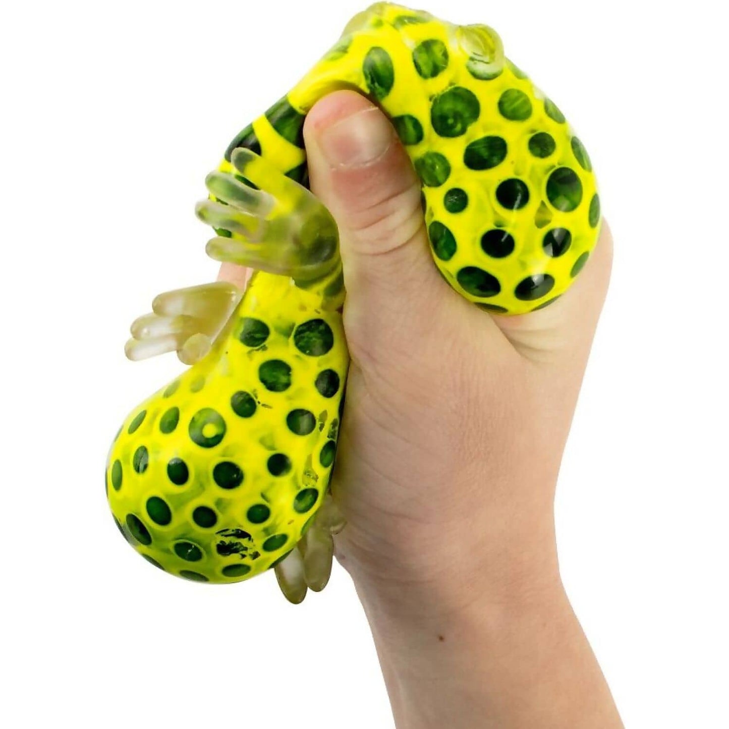 Beadz Alive - Frog Sensory Fidget Toy Assorted Colours 1x Chosen At Random