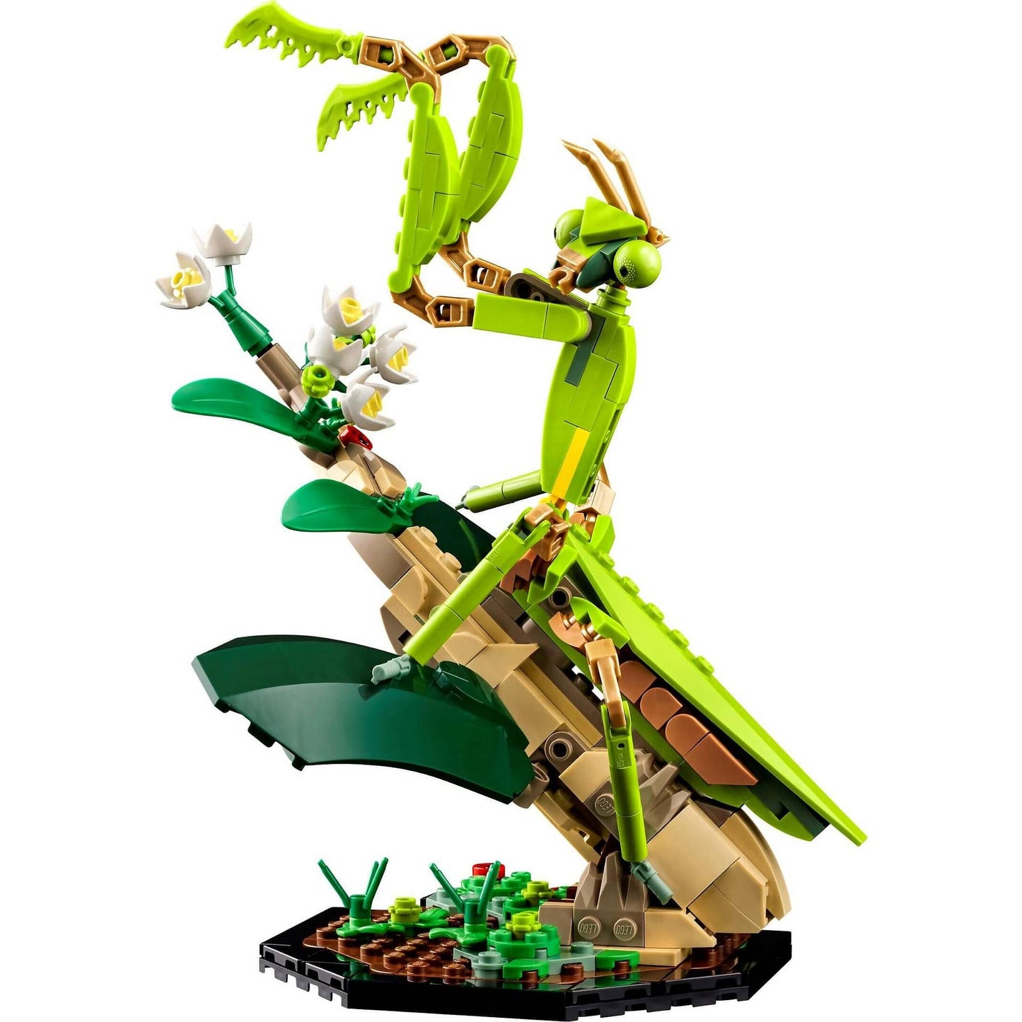 LEGO 21342 The Insect Collection - Ideas