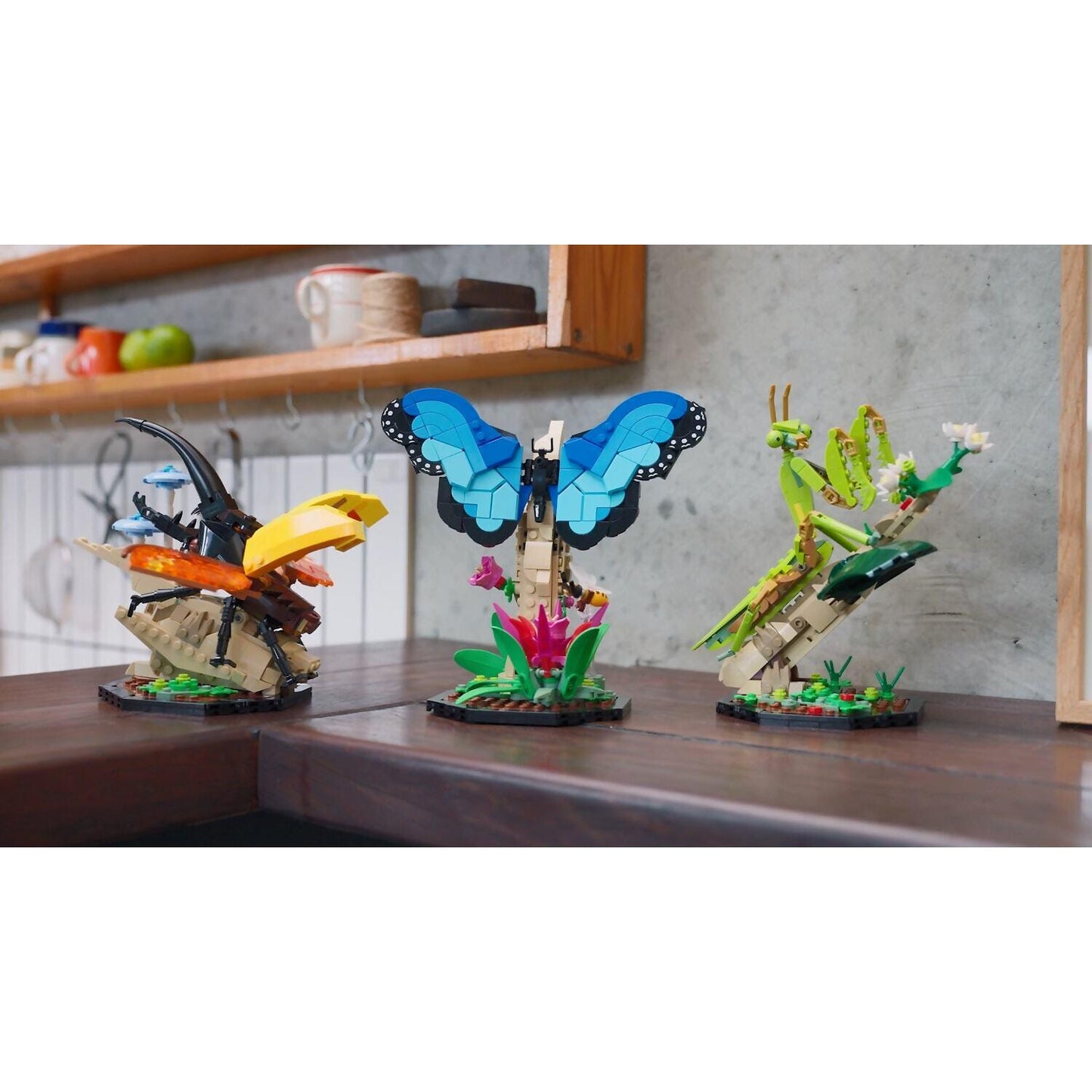 LEGO 21342 The Insect Collection - Ideas
