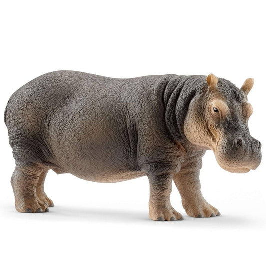 Schleich - Hippopotamus Animal Figurine