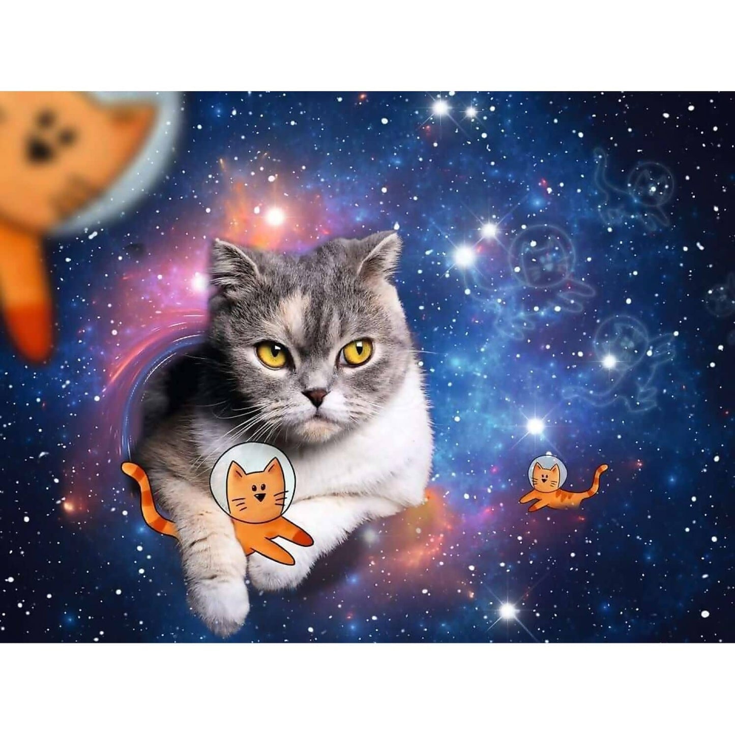 Ravensburger - Cats In Outer Space Jigsaw Puzzle 1500 Pieces