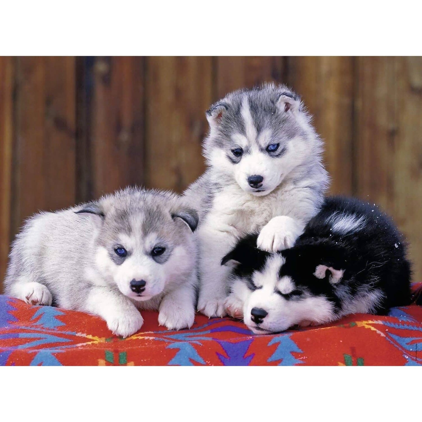 Ravensburger - Mignons Huskies Jigsaw Puzzle Xxl 200pc