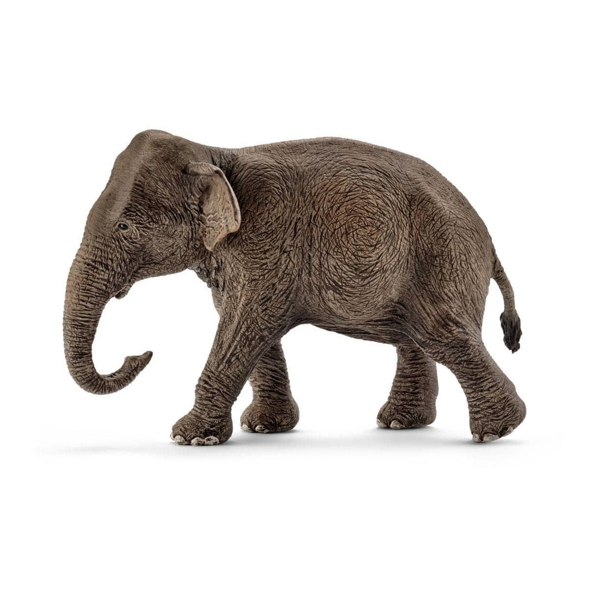 Schleich - Asian Elephant Female Wildlife Animal Figurine