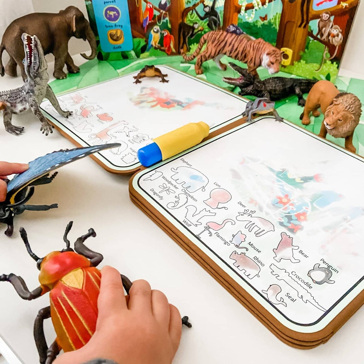 Mieredu - Magic Water Doodle Book Forest Animals