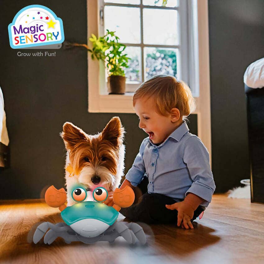 Magic Sensory - Blue Interactive Crawling Crab