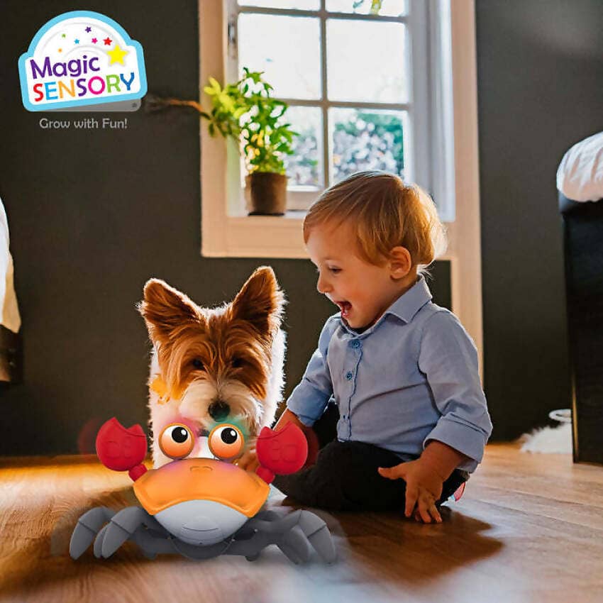 Magic Sensory - Orange Interactive Crawling Crab