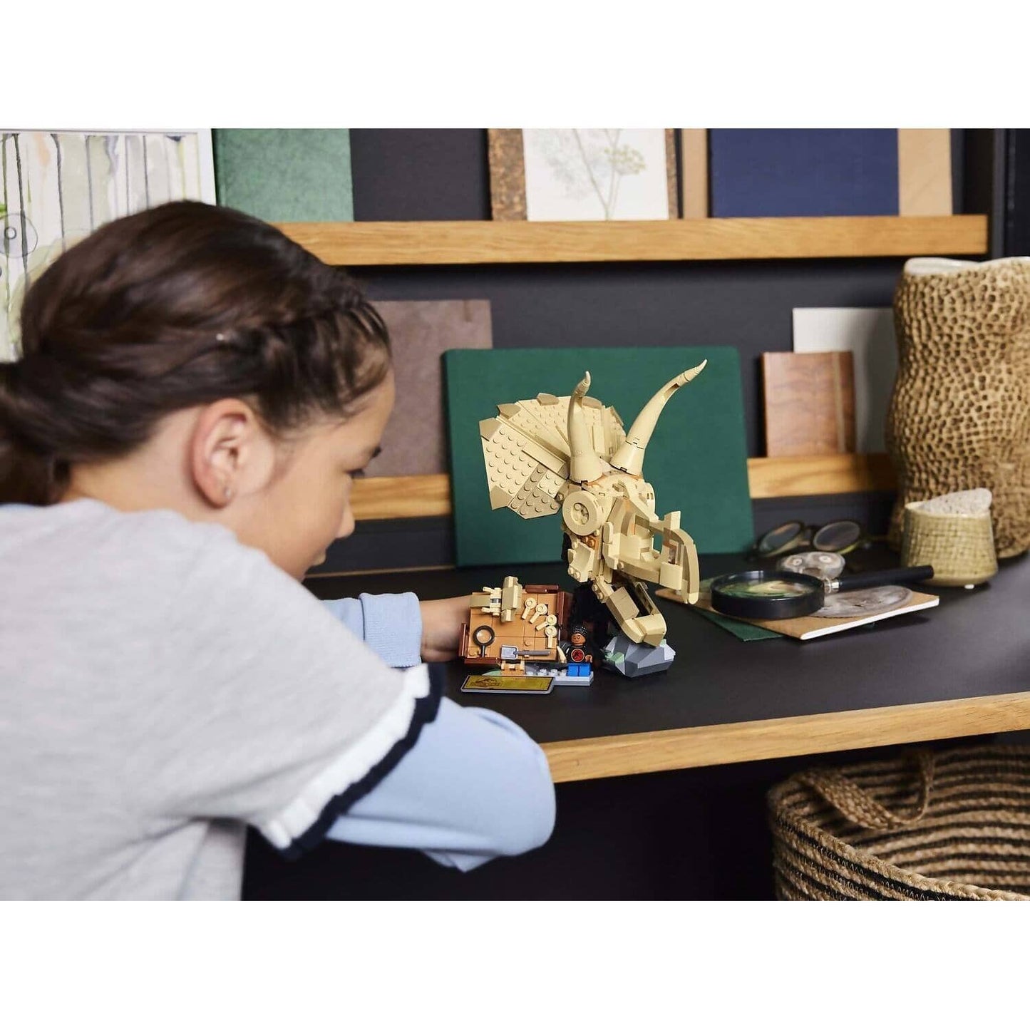 LEGO 76969 Dinosaur Fossils Triceratops Skull - Jurassic World