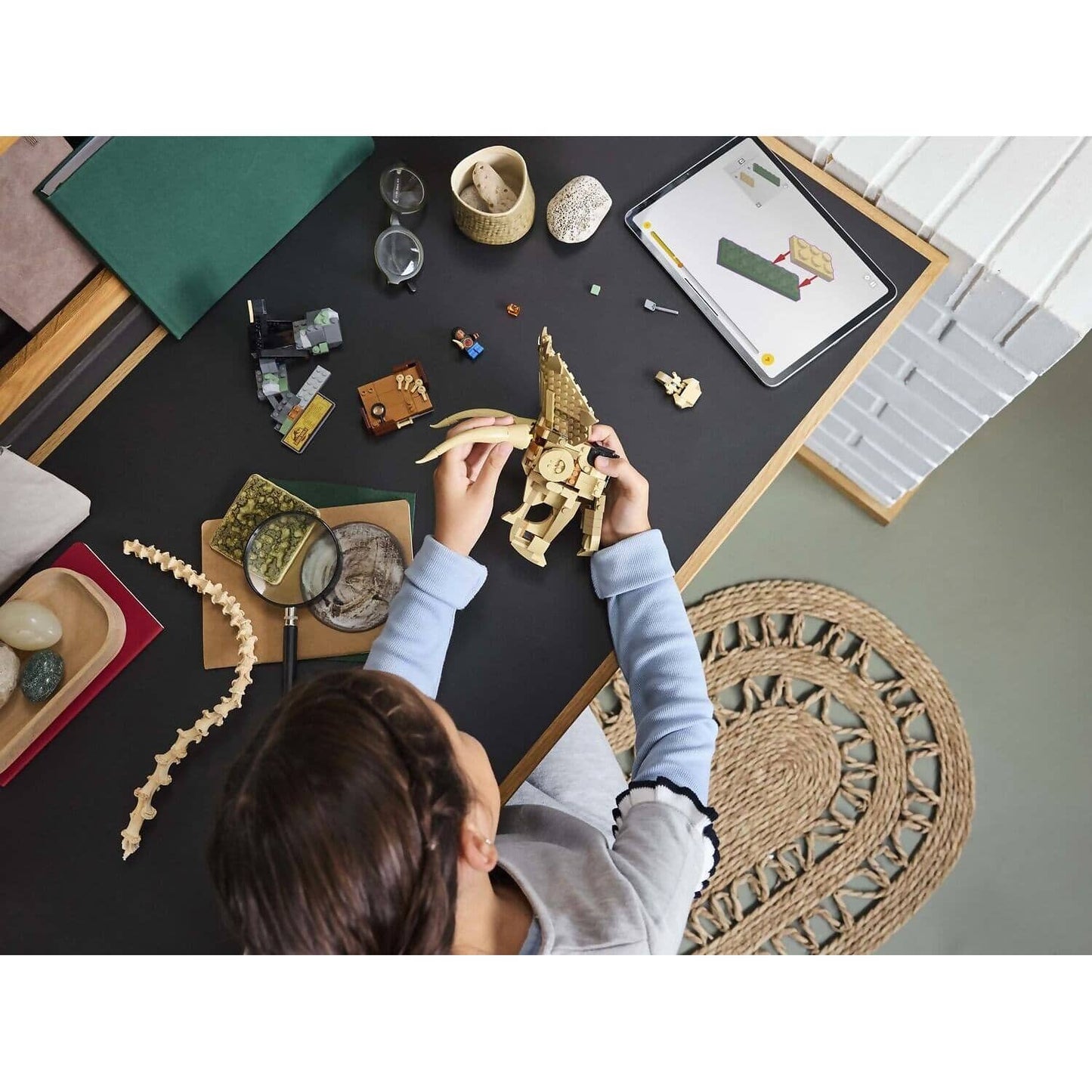 LEGO 76969 Dinosaur Fossils Triceratops Skull - Jurassic World