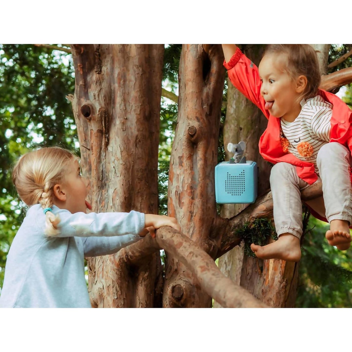 Tonies - Rachel Bright Series The Koala Who Could Tonie Audio Character (Toniebox Not Included)