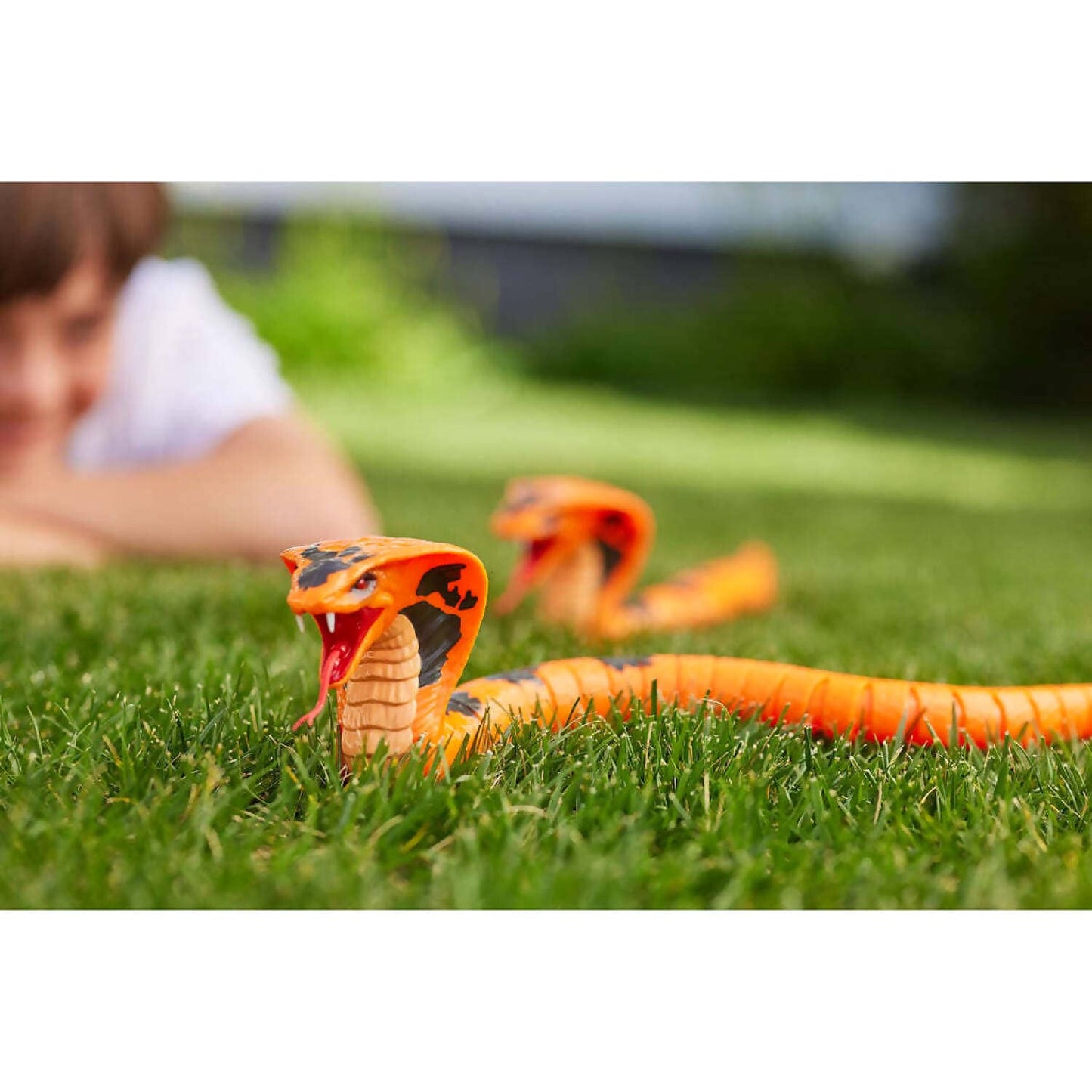 Zuru - Robo Alive King Cobra