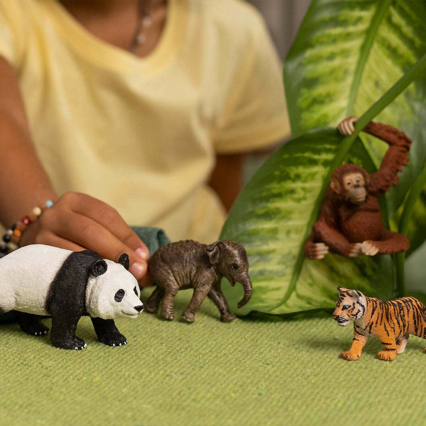 Schleich - Wild Life Asia Starter Set