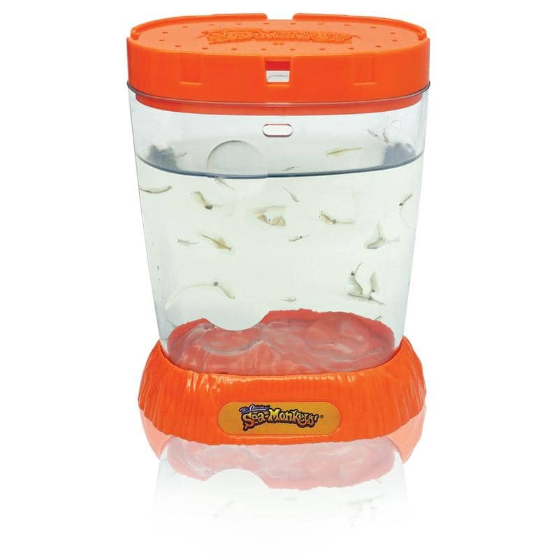 Sea Monkeys - Ocean Zoo Assorted Styles