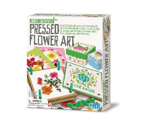 4m - Green Science - Pressed Flower Art