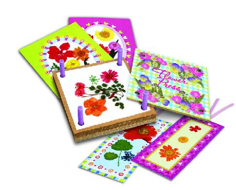 4m - Green Science - Pressed Flower Art