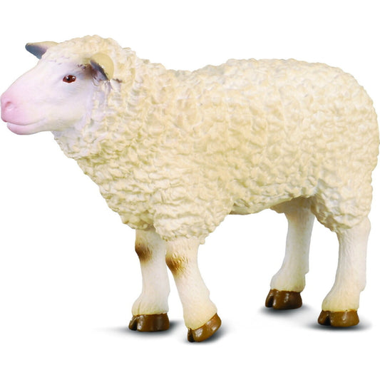CollectA - Sheep Figurine 7cm X 5cm