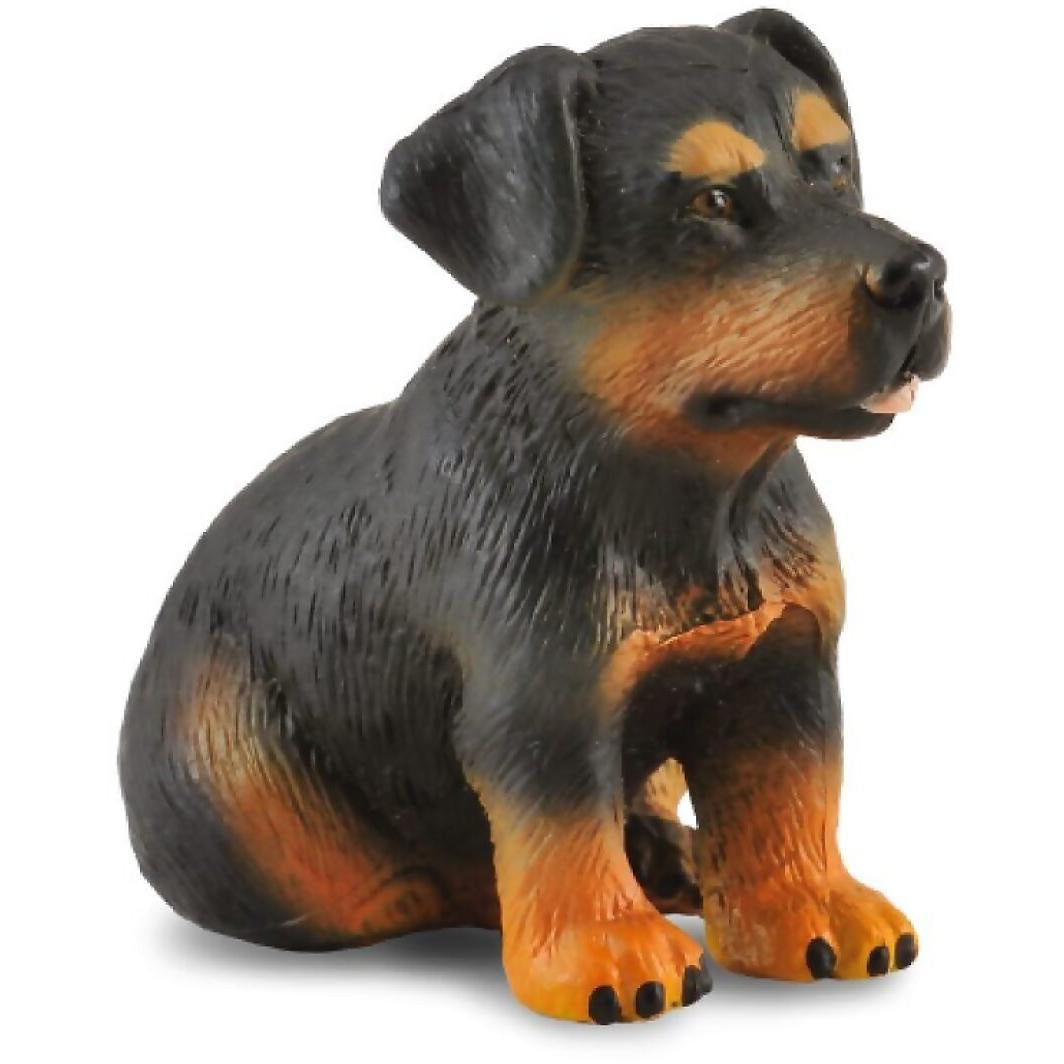 CollectA - Rottweiler Puppy Dog Small Figurine