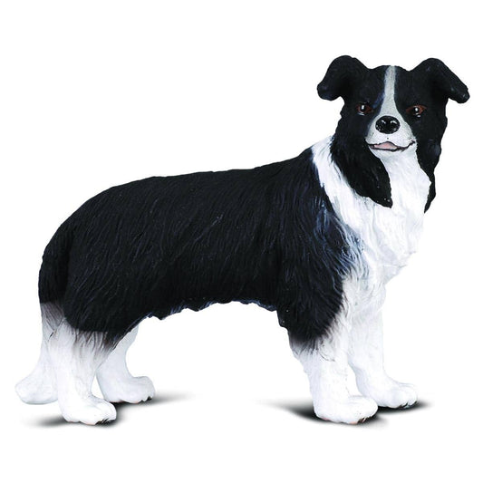 CollectA - Border Collie Dog Medium Animal Figurine