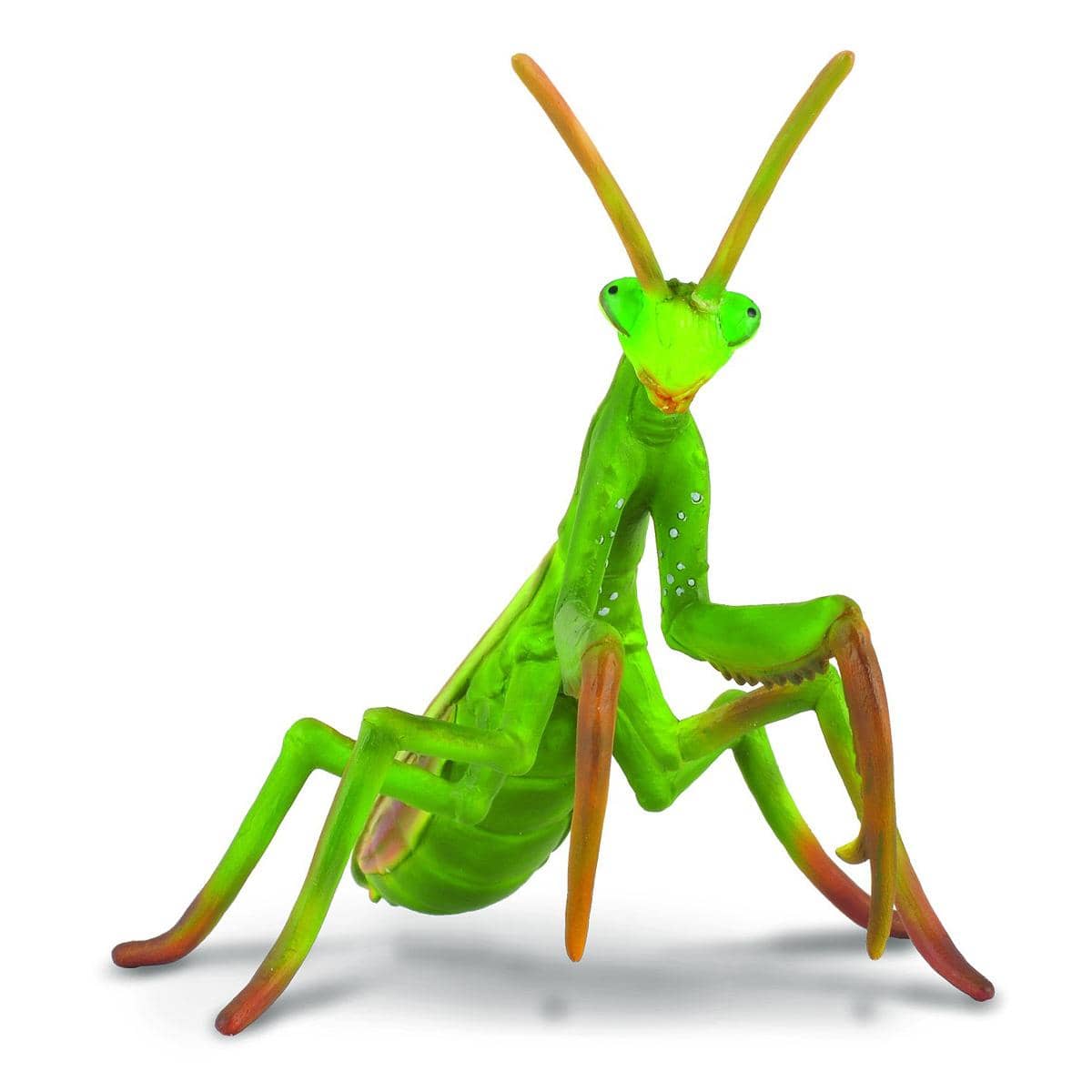 CollectA - Praying Mantis Insect Animal Figurine