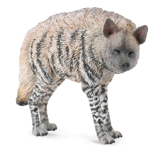 CollectA - Striped Hyena Medium Animal Figurine