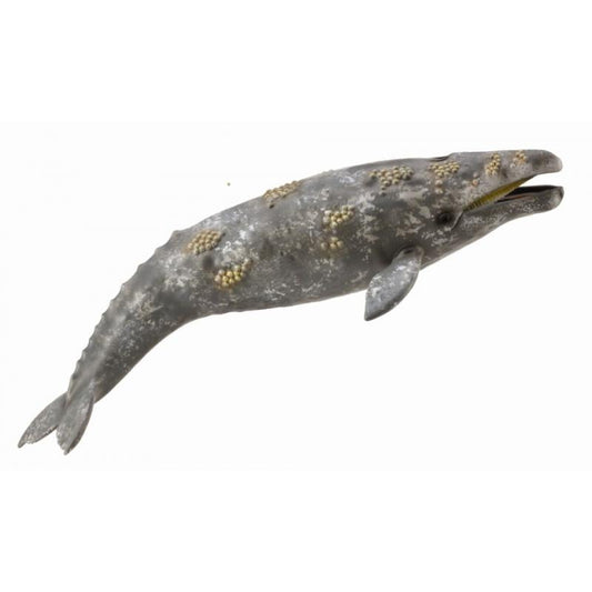 CollectA - Gray Whale Extra Large Animal Figurine