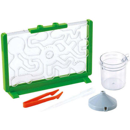 Playgo Toys Ent. Ltd  -  Ant Farm Discovery