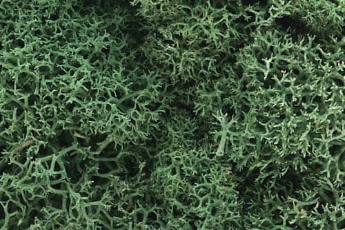 WOODLAND SCENICS  L162 LICHEN LIGHT GREEN