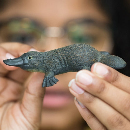 Schleich - Platypus   Wildlife Animal Figurine