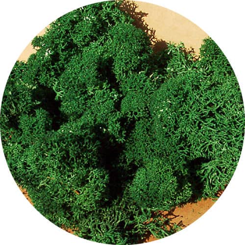 HEKI LICHEN SMALL DARK GREEN 30GM AI83211 TRAIN ACCESSORIES