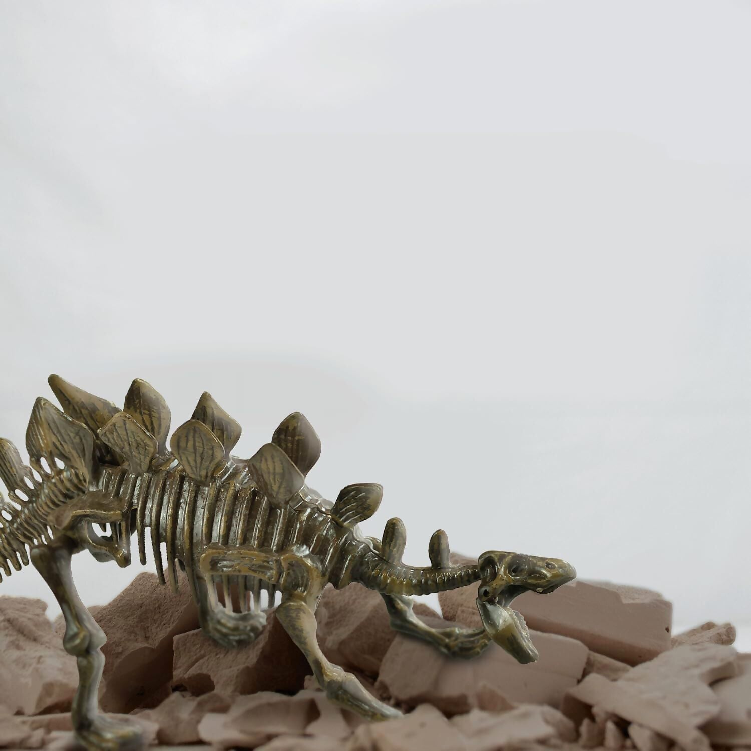 Science4You - Stegosaurus Fossil Excavation Kit