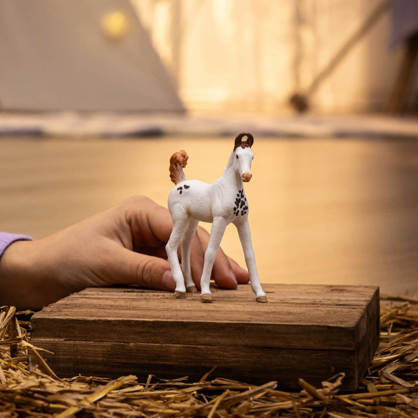Schleich - Marwari Foal