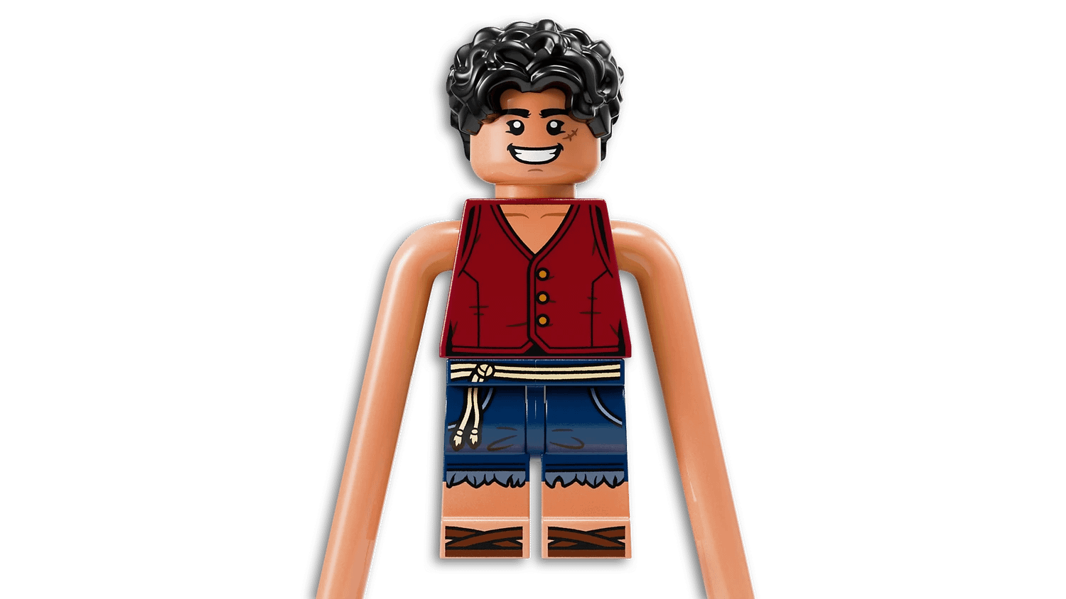 LEGO 75638 Battle at Arlong Park - Netflix One Piece