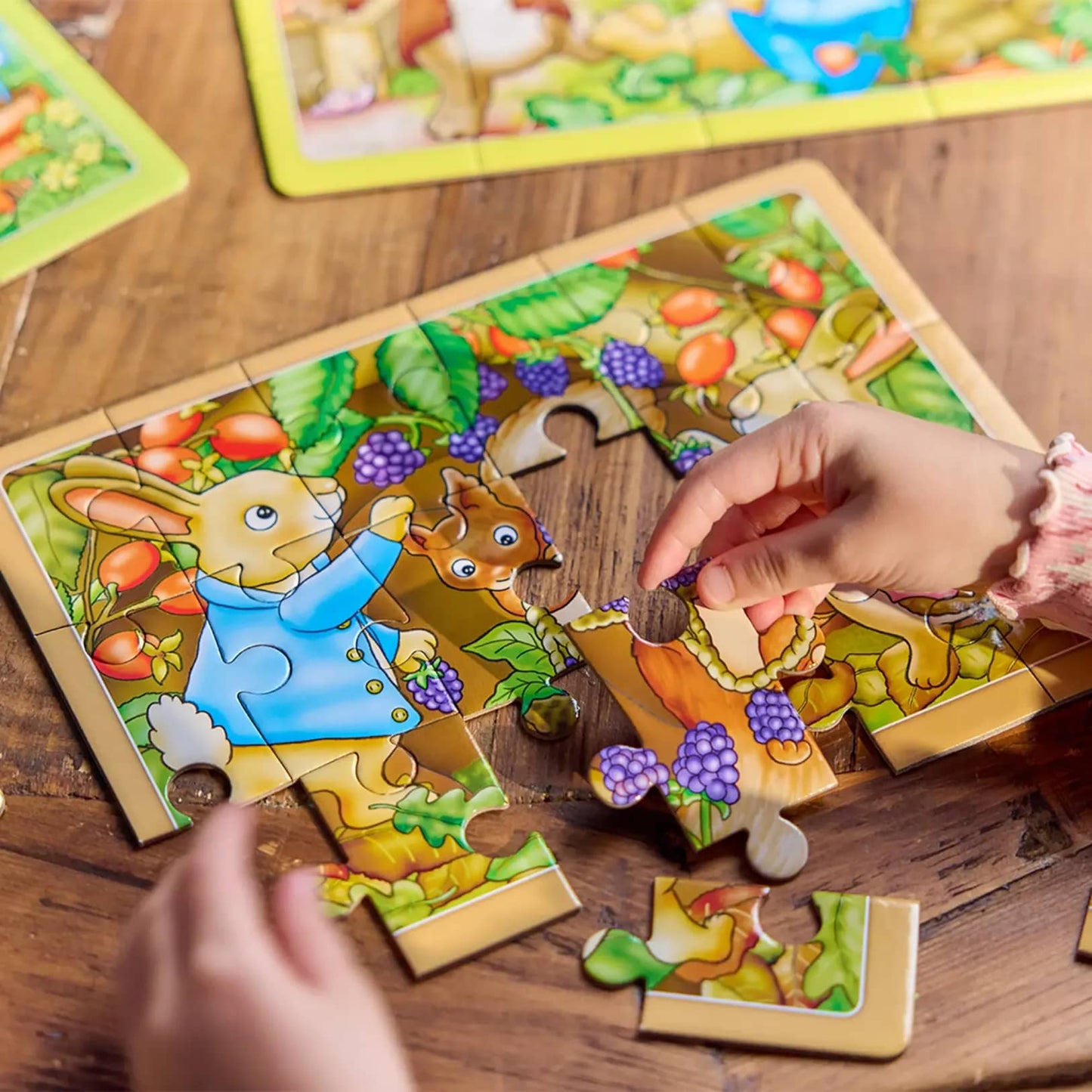 Orchard Toys - Peter Rabbit™ 4-in-a-Box Puzzles