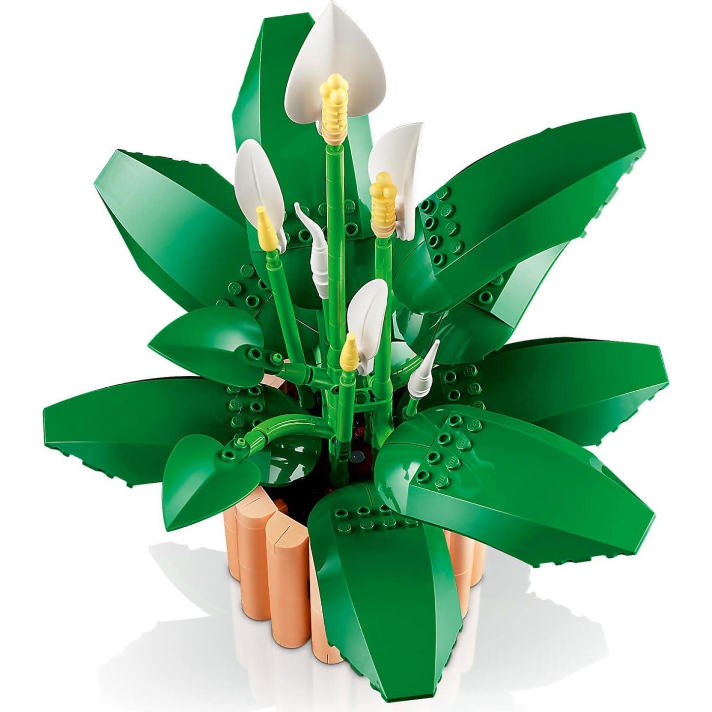 LEGO 11504 Peace Lily - Botanical Collection