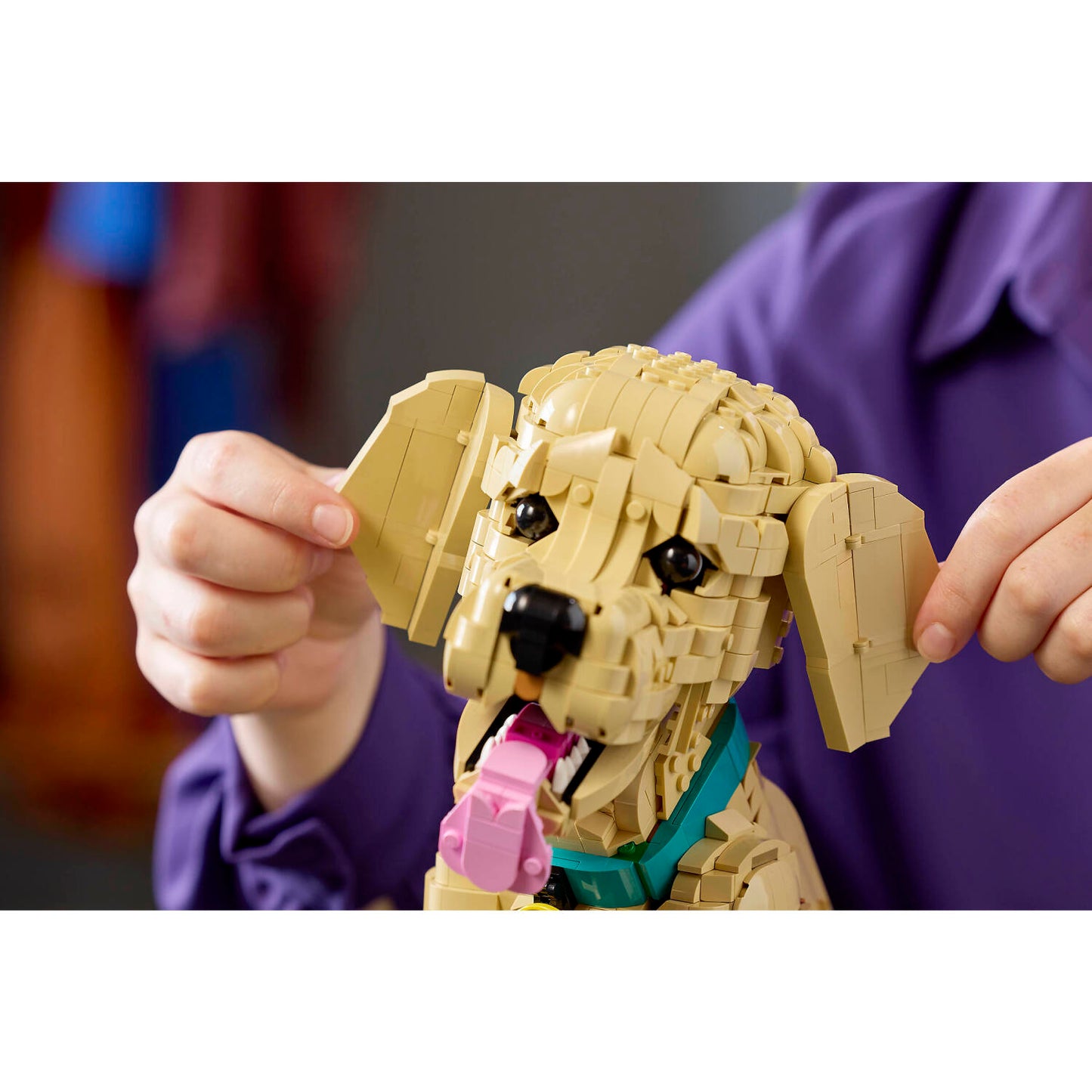 LEGO 11384 Golden Retriever Puppy - Icons