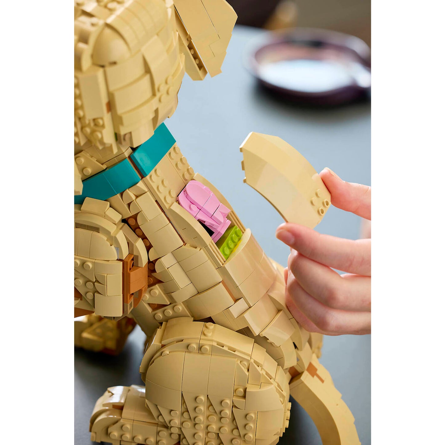 LEGO 11384 Golden Retriever Puppy - Icons