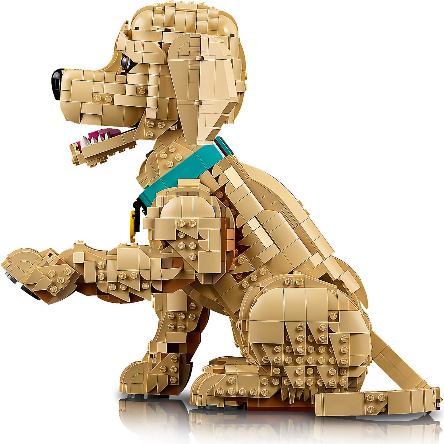 LEGO 11384 Golden Retriever Puppy - Icons