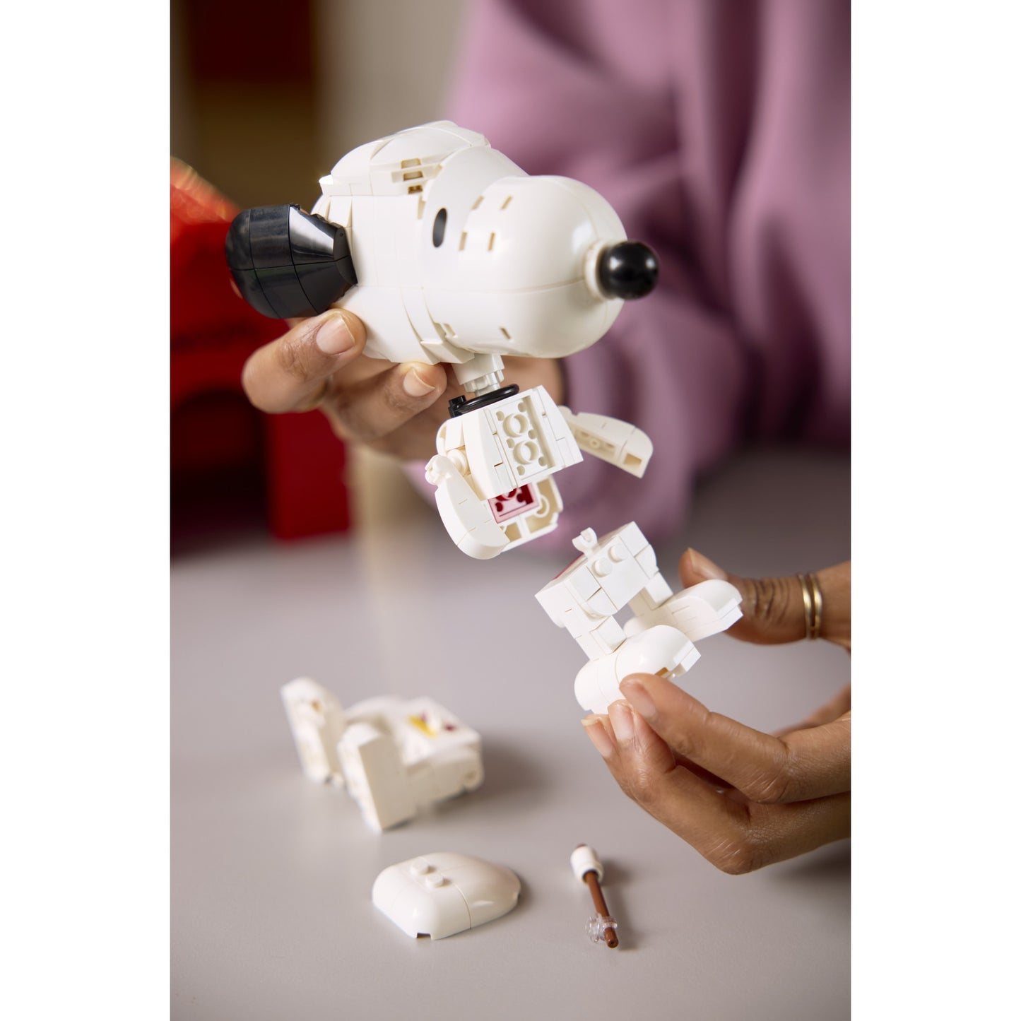 LEGO 21368 Peanuts Snoopy's Doghouse - Ideas