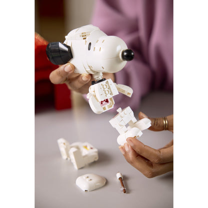 LEGO 21368 Peanuts Snoopy's Doghouse - Ideas