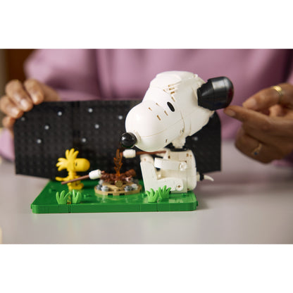 LEGO 21368 Peanuts Snoopy's Doghouse - Ideas