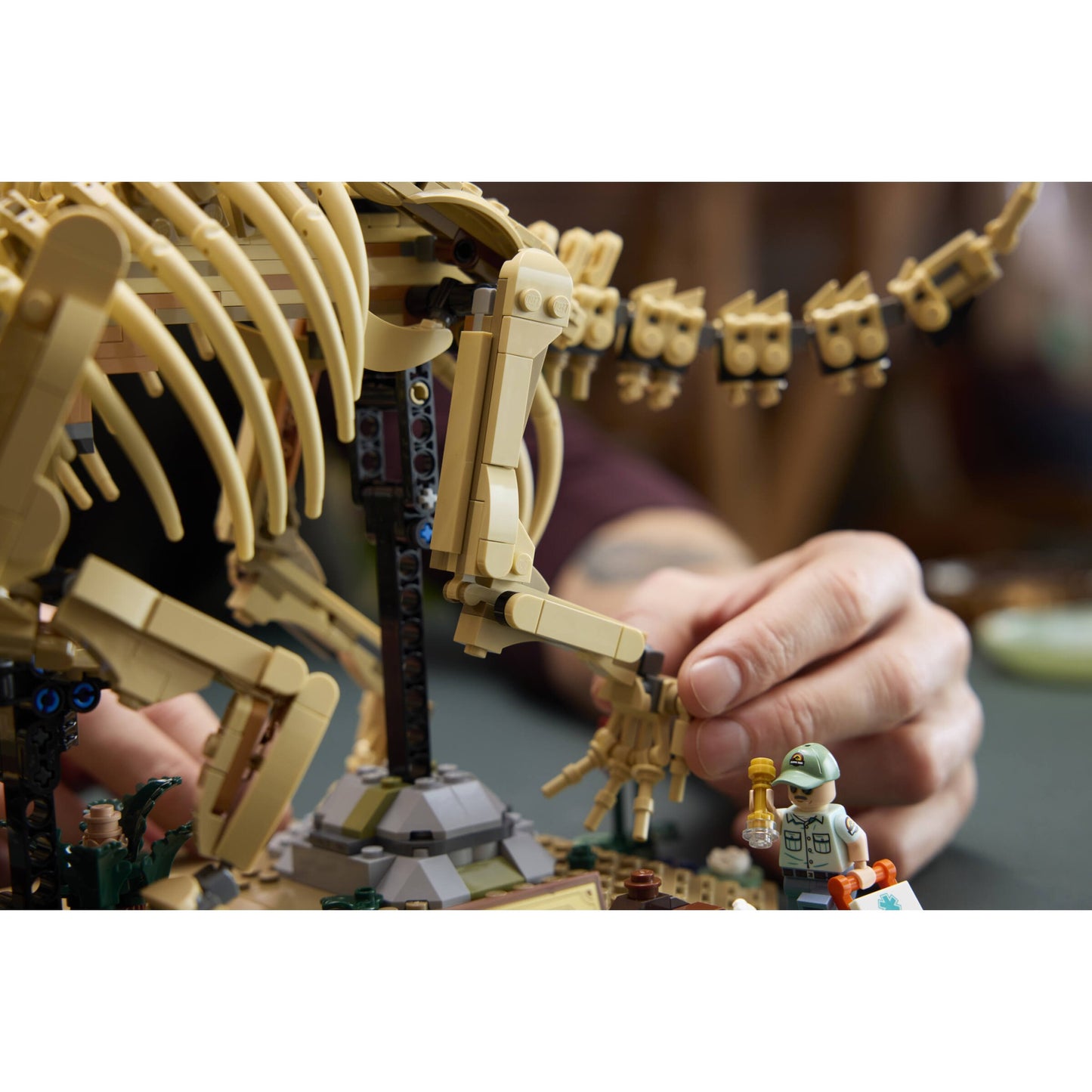 LEGO 77985 Dinosaur Fossils: Triceratops - Jurassic World