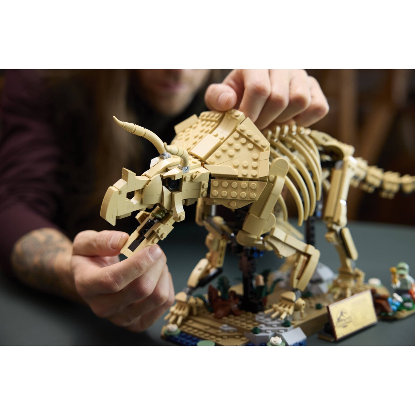 LEGO 77985 Dinosaur Fossils: Triceratops - Jurassic World