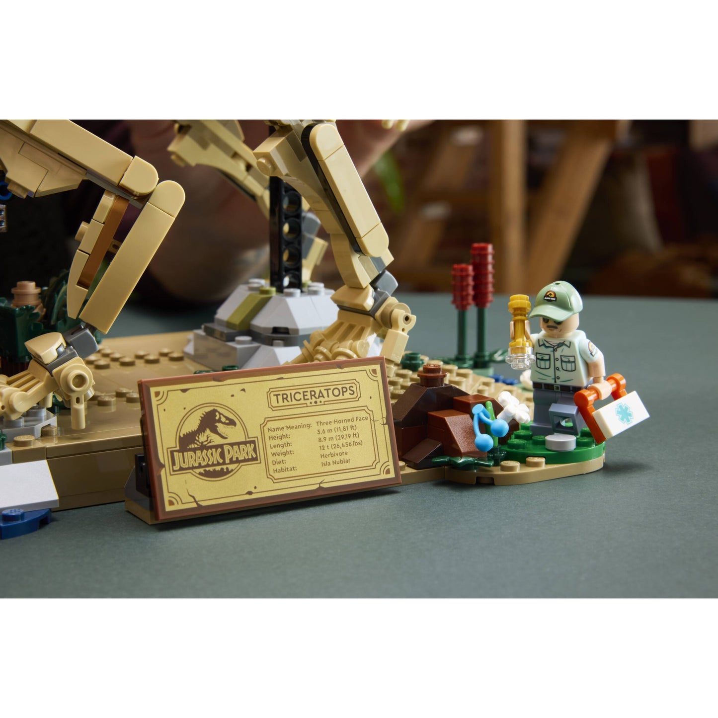 LEGO 77985 Dinosaur Fossils: Triceratops - Jurassic World