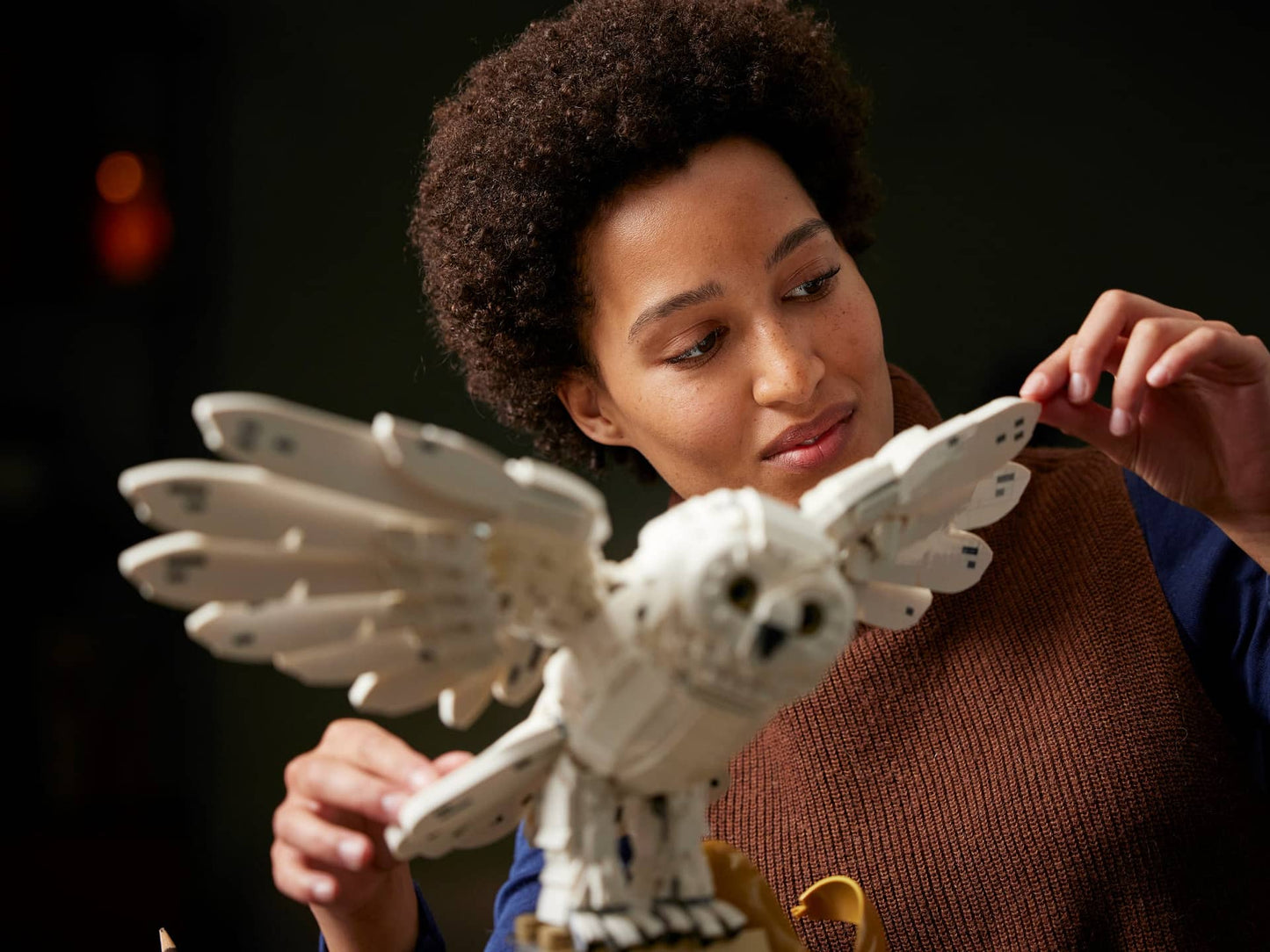 LEGO 76391 Hogwarts Icons Collectors Edition - Harry Potter