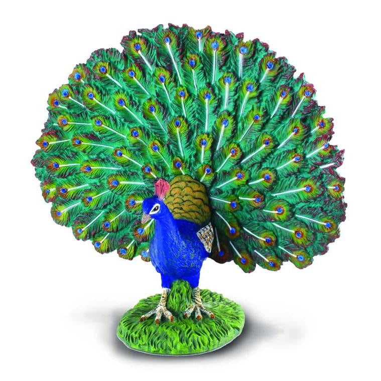 CollectA-  Peacock Bird Animal Figurine
